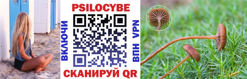 Купить где  Лянтор  Псилоцибиновые грибы ЛСД 