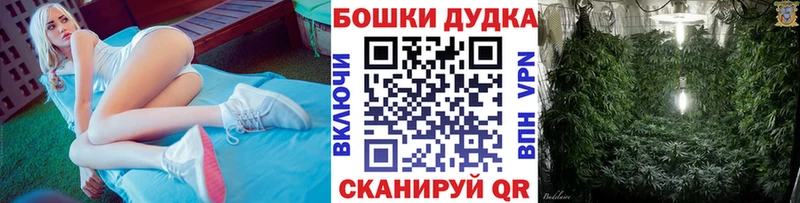 Конопля гибрид  Купить закладки  Лянтор 